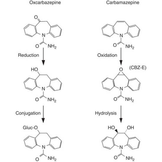 Oxcarbazepine Metabolite